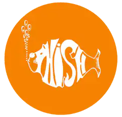 Hisse Bitcoin logo animation