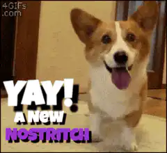 Corgi Nostritch