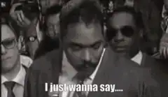 Rodney King Can We All Just Get Along