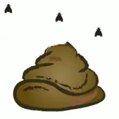poop with flies