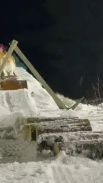 cat snowboarding down snowy ramp