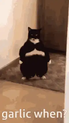 Garlic Cat meme