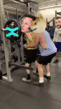 Doge and Elon Musk squatting in gym