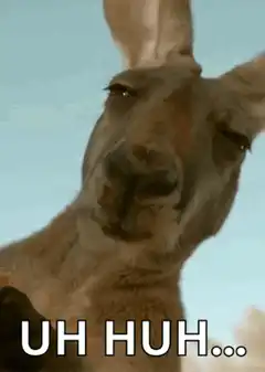 Kangaroo saying uh huh