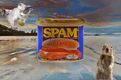 Spam can multiplication on beach