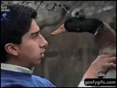 Duck pecks David Spade's nose