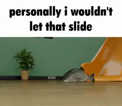 personally i wouldn't let that slide fish