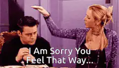 I Am Sorry You Feel That Way Ross Rachel