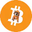 Shiba Inu in Bitcoin hoodie