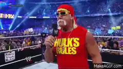 Hulk Hogan says Hulk's Rules