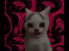 Psychedelic cat with big eyes