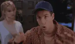 Adam Sandler So Sorry To Interrupt