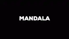 Mandala animated logo