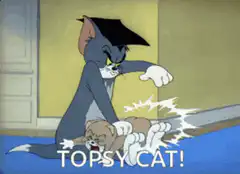 Tom Topsy Cat