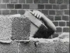 Man gets head stuck in brick