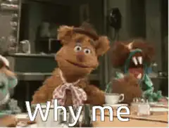 Fozzie Bear Why Me