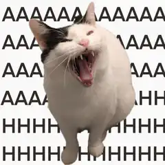 Screaming cat with A's and H's