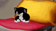 Black and white cat grooming itself