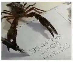 Crayfish writing suicide note