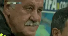 Vicente del Bosque facepalm