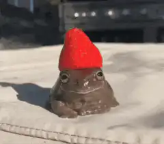 Strawberry Frog Rickroll