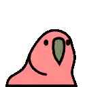 Pink bird head bobbing