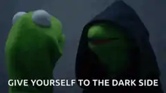Kermit Hooded Dark Side