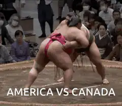 Sumo wrestler throws opponent out of ring