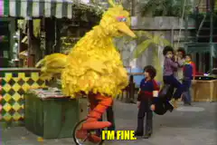 Big Bird totally fine