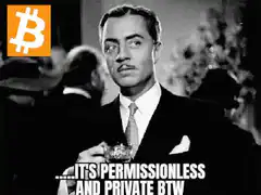 Bitcoin Guy Smirking