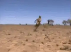 person doing a high kick in the desert