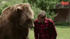 Bear kisses man in red plaid shirt