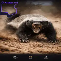 snarling honey badger puzzle
