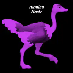 Purple ostrich running