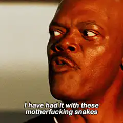 I have had it with these motherfucking snakes