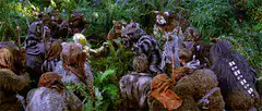 Ewoks surround C-3PO in the forest