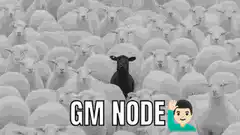 GM Node black sheep meme