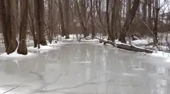 Man ice skating on a frozen pond