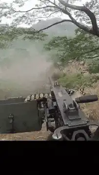Heavy machine gun firing in forest