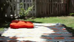 stop motion picnic setup