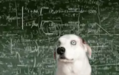 Dog drooling over complex math equations