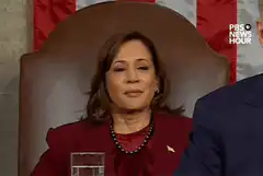 Kamala Harris subtle smile