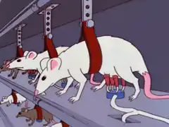 mice in harnesses on a conveyor belt