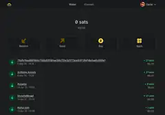 Bitcoin wallet showing zero balance