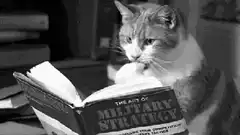 cat reading military strategy book