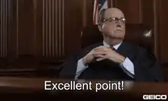Judge nods and says excellent point