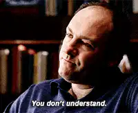 You don't understand