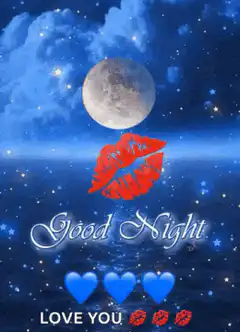 Good Night Love You Moon