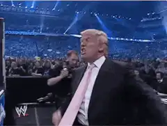 Donald Trump WWE WrestleMania cheering
