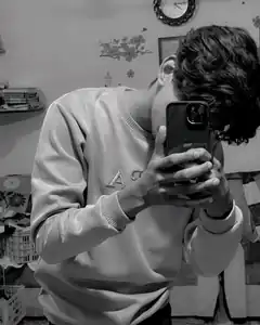 person taking mirror selfie with phone